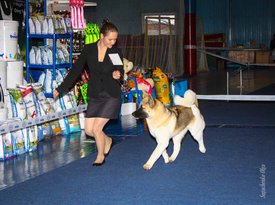 IMG_4609.jpg (139.57 КБ, Просмотров: 10597) IMG_4609.jpg