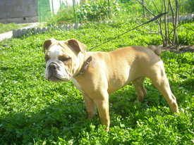 2gQmd0g9.jpg (75.74 КБ, Просмотров: 6147) 2gQmd0g9.jpg