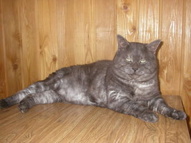 2gQmd0gb.jpg (55.93 КБ, Просмотров: 6147) 2gQmd0gb.jpg