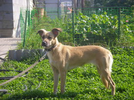 2gQmd0gd.jpg (78.91 КБ, Просмотров: 6148) 2gQmd0gd.jpg