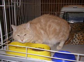 2gQmd0ge.jpg (70.07 КБ, Просмотров: 6145) 2gQmd0ge.jpg