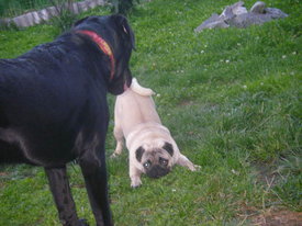 2gQmd0gi.jpg (47.32 КБ, Просмотров: 6148) 2gQmd0gi.jpg