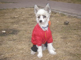 9mYYBes8.jpg (50.28 КБ, Просмотров: 6148) 9mYYBes8.jpg