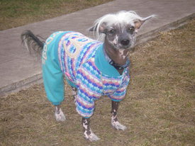 9mYYBesu.jpg (55.04 КБ, Просмотров: 6148) 9mYYBesu.jpg