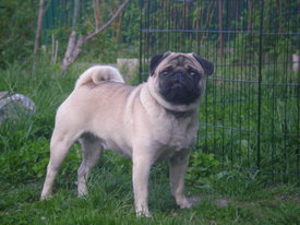 10tdQE4Me.jpg (42.46 КБ, Просмотров: 6139) 10tdQE4Me.jpg