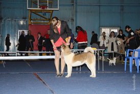 IMG_4615.jpg (122.45 КБ, Просмотров: 10447) IMG_4615.jpg