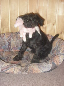 16qWhW6dN.jpg (65.17 КБ, Просмотров: 5945) 16qWhW6dN.jpg