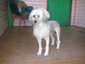 18qb6mByw.jpg (42.6 КБ, Просмотров: 5945) 18qb6mByw.jpg