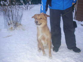 DKMgB1hP.jpg (54.9 КБ, Просмотров: 5954) DKMgB1hP.jpg