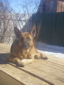 DKMgB1hQ.jpg (85.2 КБ, Просмотров: 5945) DKMgB1hQ.jpg