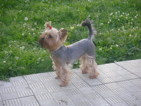 DKMgB1hR.jpg (55.94 КБ, Просмотров: 5954) DKMgB1hR.jpg