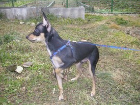 DKMgB1hS.jpg (174.18 КБ, Просмотров: 6139) DKMgB1hS.jpg