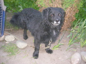 DKMgB1hT.jpg (44.38 КБ, Просмотров: 6137) DKMgB1hT.jpg