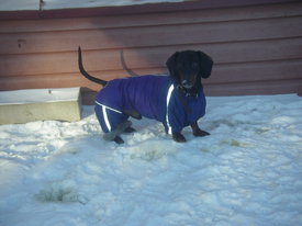 DKMgB1hU.jpg (52.61 КБ, Просмотров: 6148) DKMgB1hU.jpg