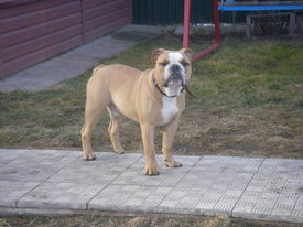 DKMgB1hV.jpg (44.28 КБ, Просмотров: 5945) DKMgB1hV.jpg