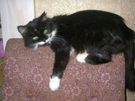 DKMgB1hW.jpg (47.82 КБ, Просмотров: 5945) DKMgB1hW.jpg