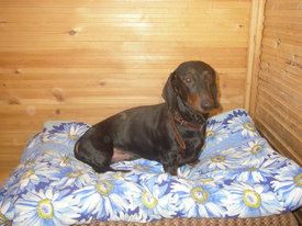 DKMgB1hX.jpg (60.8 КБ, Просмотров: 6147) DKMgB1hX.jpg