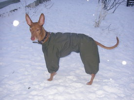 DKMgB1hY.jpg (56.91 КБ, Просмотров: 6145) DKMgB1hY.jpg