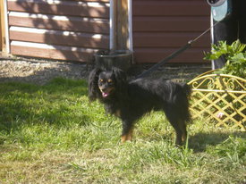 DKMgB1hZ.jpg (66.46 КБ, Просмотров: 6148) DKMgB1hZ.jpg