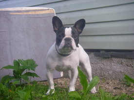 IA4wMq8A.jpg (38.92 КБ, Просмотров: 6147) IA4wMq8A.jpg