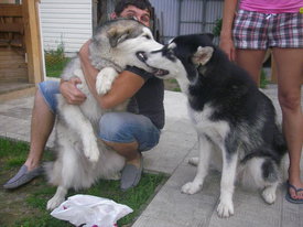 IA4wMq8B.jpg (49.62 КБ, Просмотров: 5941) IA4wMq8B.jpg