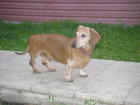 IA4wMq8C.jpg (50.56 КБ, Просмотров: 6145) IA4wMq8C.jpg