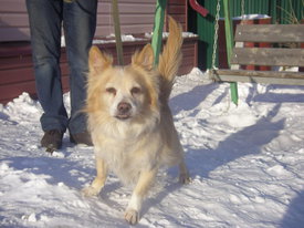 N7LfbOFM.jpg (57.51 КБ, Просмотров: 6354) N7LfbOFM.jpg