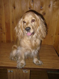 N7LfbOFN.jpg (55.81 КБ, Просмотров: 6145) N7LfbOFN.jpg