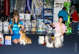 IMG_4682.jpg (174.42 КБ, Просмотров: 10594) IMG_4682.jpg