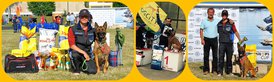 16326928_1346135408793053_1150693749_o.jpg (129.22 КБ, Просмотров: 3927) 16326928_1346135408793053_1150693749_o.jpg