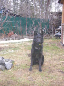 N7LfbOFS.jpg (88.99 КБ, Просмотров: 6640) N7LfbOFS.jpg