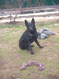 N7LfbOFU.jpg (88.02 КБ, Просмотров: 6114) N7LfbOFU.jpg