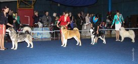 IMG_4736.jpg (106.94 КБ, Просмотров: 10597) IMG_4736.jpg