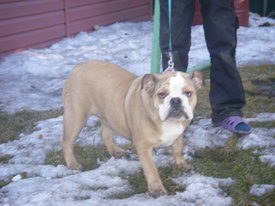 N7LfbOFP.jpg (46.09 КБ, Просмотров: 6325) N7LfbOFP.jpg