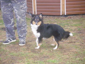 N7LfbOFR.jpg (52.25 КБ, Просмотров: 6105) N7LfbOFR.jpg