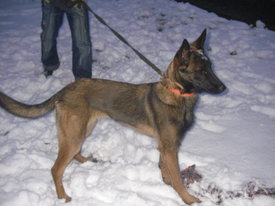 N7LfbOFV.jpg (48.02 КБ, Просмотров: 6321) N7LfbOFV.jpg