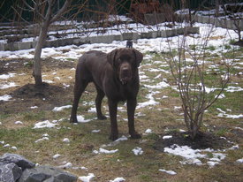 N7LfbOGl.jpg (75.12 КБ, Просмотров: 6321) N7LfbOGl.jpg