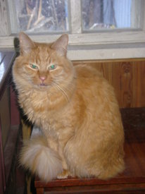 soytzjWC.jpg (51.75 КБ, Просмотров: 6321) soytzjWC.jpg