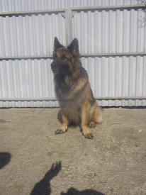 T5tGtT3a.jpg (67.56 КБ, Просмотров: 6106) T5tGtT3a.jpg