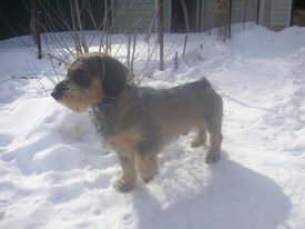 T5tGtT39.jpg (53.93 КБ, Просмотров: 6105) T5tGtT39.jpg