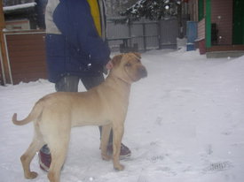 zMiDJJrv.jpg (45.28 КБ, Просмотров: 6114) zMiDJJrv.jpg