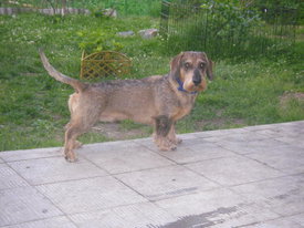 OxMY4jm0.jpg (53.28 КБ, Просмотров: 6321) OxMY4jm0.jpg