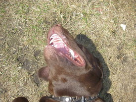 N7LfbOId.jpg (77.67 КБ, Просмотров: 6325) N7LfbOId.jpg