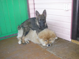 N7LfbOIc.jpg (52.35 КБ, Просмотров: 6114) N7LfbOIc.jpg