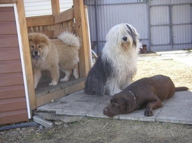 N7LfbOIa.jpg (52.79 КБ, Просмотров: 6104) N7LfbOIa.jpg