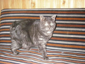 N7LfbOI4.jpg (56.3 КБ, Просмотров: 5912) N7LfbOI4.jpg