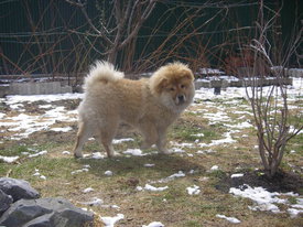 N7LfbOGp.jpg (68.65 КБ, Просмотров: 6325) N7LfbOGp.jpg