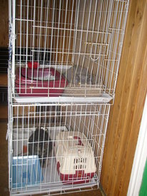 N7LfbOGr.jpg (83.05 КБ, Просмотров: 6114) N7LfbOGr.jpg