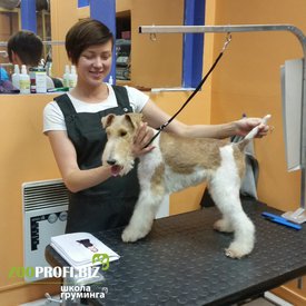 CbBfYmT5at8.jpg (160.58 КБ, Просмотров: 3082) CbBfYmT5at8.jpg