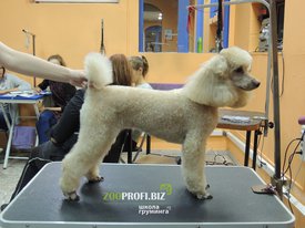 zq5O7MSLcec.jpg (221.52 КБ, Просмотров: 2936) zq5O7MSLcec.jpg